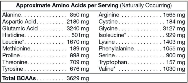 Pure Plant Protein - Chocolate - Image 6